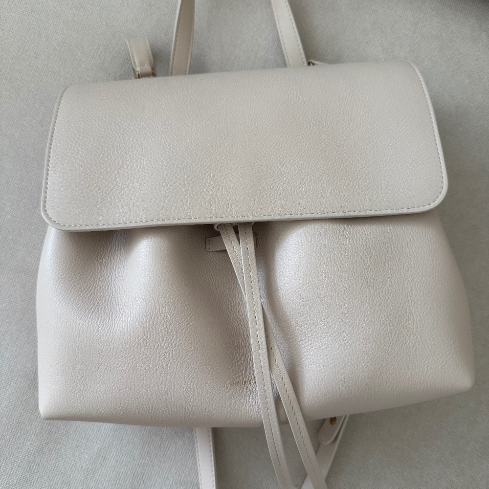 Mansur Gavriel - Soft Lady Bag brand new
